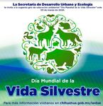 Images_174652_thumb_invitaci%c3%b3n_vida_silvestre