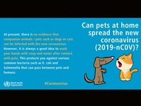 Images_174712_thumb_2312132