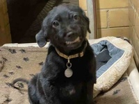 Images_174856_thumb_2318955