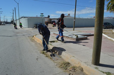 Images_175078_thumb_unnamed