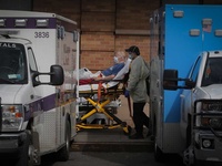 Images_175678_thumb_2338352