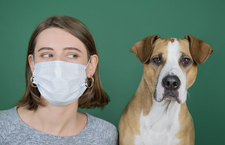 Images_175810_thumb_1585062156116m9