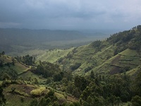 Images_176121_thumb_2348835