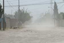 Images_176418_thumb_amarila_viento_(3)