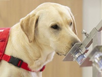 Images_176592_thumb_2361007