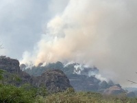 Images_176715_thumb_2364460