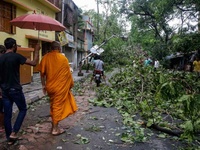 Images_176722_thumb_2364907