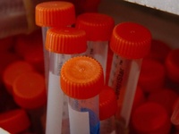 Images_176784_thumb_2366721