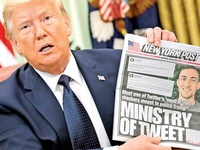 Images_176872_thumb_2369542