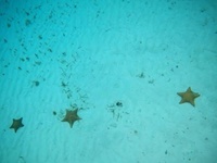 Images_177625_thumb_2393472