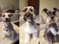 Images_177922_thumb_2207764