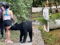 Images_177996_thumb_2406354