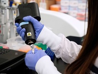 Images_178153_thumb_2411584