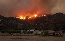 Images_178170_thumb_2412671