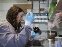 Images_178226_thumb_2414240