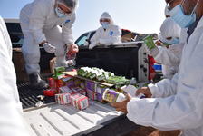 Images_179231_thumb_dsc_0297