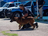 Images_179428_thumb_unnamed