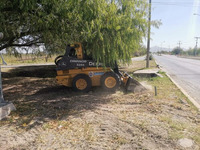 Images_179607_thumb_unnamed