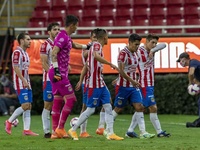 Images_179724_thumb_2465231