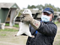 Images_180203_thumb_2481177