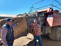 Images_180288_thumb_whatsapp_image_2020-11-06_at_11.20.13