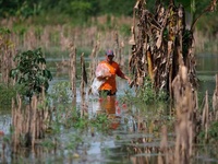 Images_180302_thumb_2483812