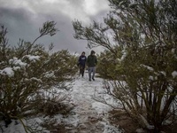 Images_180376_thumb_2485422