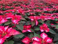 Images_180395_thumb_2485516