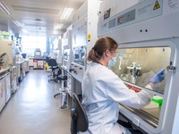 Images_180404_thumb_2486079