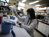 Images_181564_thumb_2511012