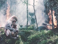 Images_181641_thumb_2512424