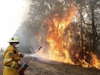 Images_181672_thumb_2512834