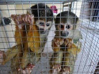 Images_181924_thumb_2518662