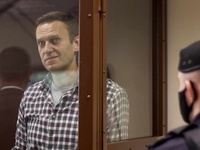 Images_182534_thumb_2532839