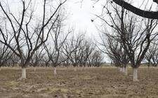 Images_182551_thumb_whatsapp_image_2021-02-22_at_9.06.30_am