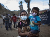 Images_182574_thumb_2534249