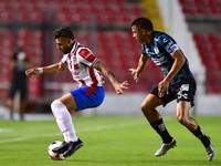 Images_182737_thumb_2539159