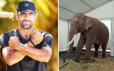 Images_183238_thumb_arturo-islas-desmentido-paola-rolex