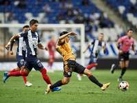 Images_183426_thumb_2564646