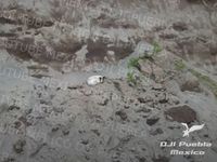 Images_184633_thumb_2599071