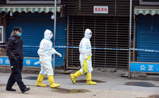 Images_185376_thumb_sin_t%c3%adtulo