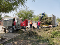 Images_185499_thumb_unnamed_(2)