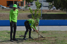 Images_185938_thumb_unnamed_(1)