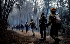 Images_187073_thumb_varios-incendios-se-han-registrado_0_27_1200_746