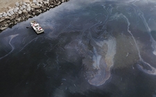 Images_188135_thumb_ve-mancha-petroleo-area-afectada