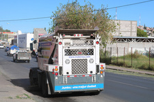 Images_188155_thumb_unnamed