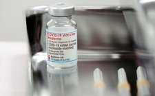 Images_188596_thumb_acero-inoxidable-vacunas-moderna-representa_0_45_1024_637