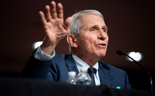 Images_191243_thumb_sin_t%c3%adtulo