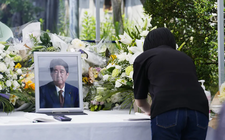 Images_196181_thumb_sin_t%c3%adtulo