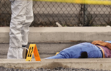 Images_198041_thumb_vi